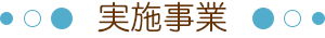 実施事業